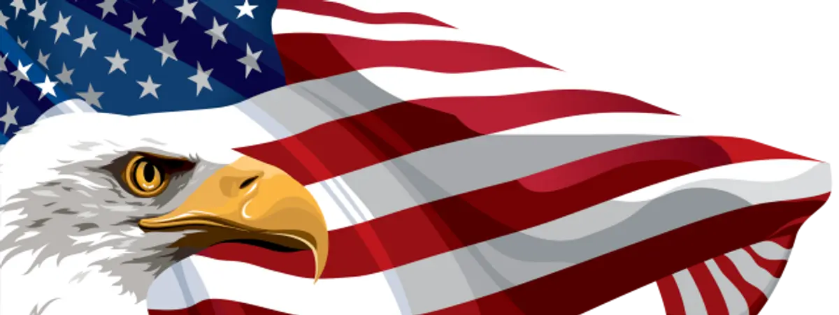 American bald eagle and flag